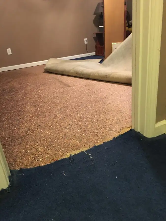 Carpet pad removal revealing water damage during Drying & Dehumidification in Lackawanna
